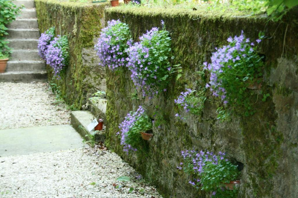 L'Affable Les Cammazes Bed & Breakfast Luaran gambar